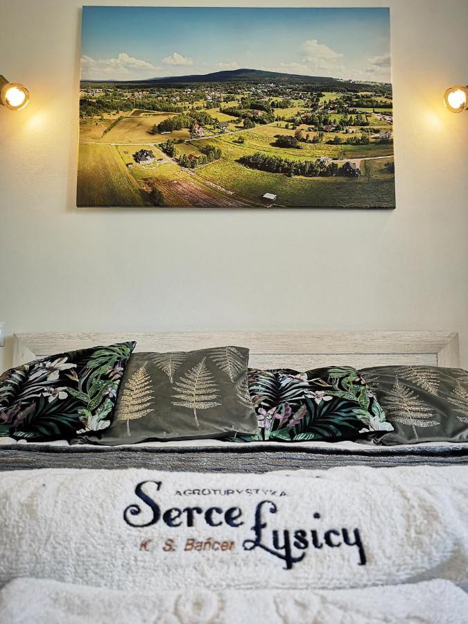 Serce Lysicy Apartment *