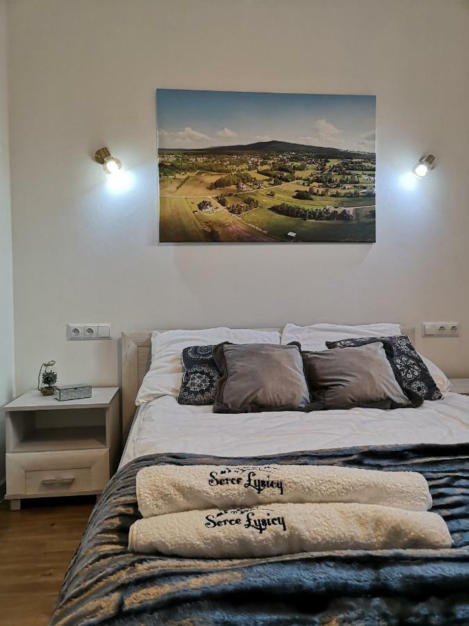 Apartment Serce Lysicy *